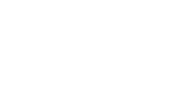 LDI — Lhomme Development & Innovation